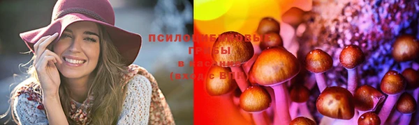 твердый Медвежьегорск