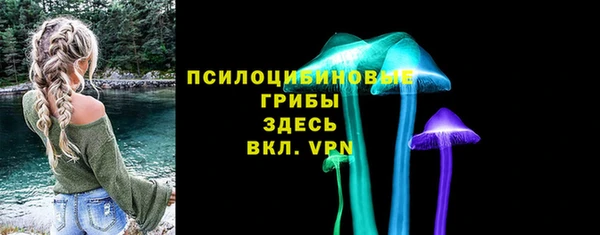 твердый Медвежьегорск
