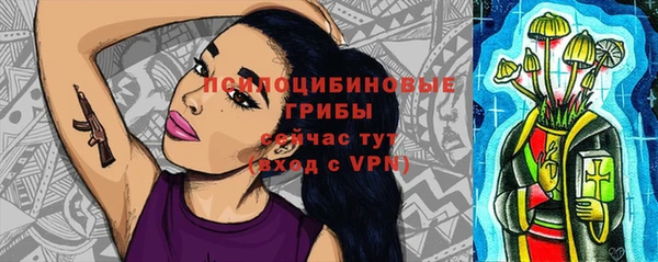 твердый Медвежьегорск